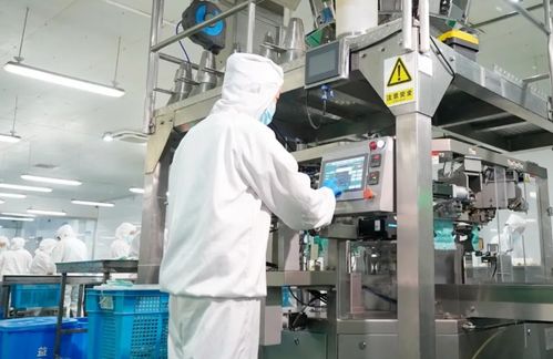 江蘇 它經(jīng)濟(jì) 崛起,萌寵引領(lǐng)產(chǎn)業(yè)新藍(lán)海